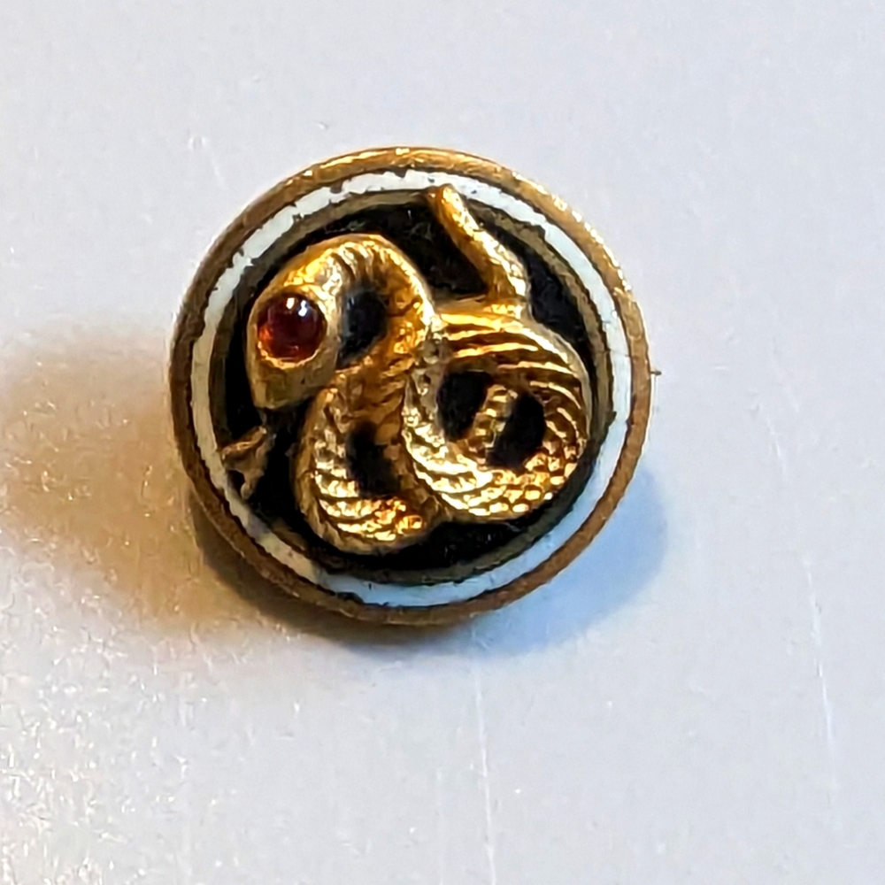 Sigma Nu Pledge Pin